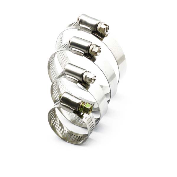 Exploring Diversity: Variations in Design and Features Among Pipe Clamp Worm Gears