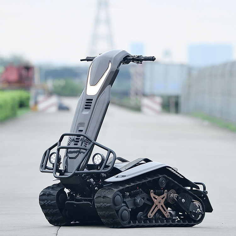 Navigating Regulatory Challenges and Restrictions for Electric Snowmobiles-Standing