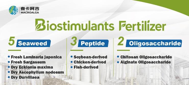 China Biostimulant: Which One Truly Delivers Results?