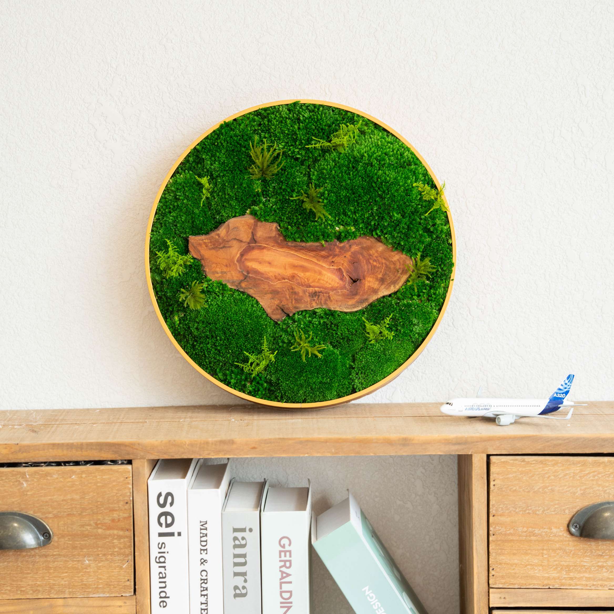 Preserved Moss Recommendations for a Lush Indoor Garden